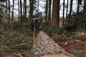 vio脱毛の間隔はどのくらい空けるべきですか？