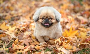 医療脱毛の間隔を空けるベストなタイミングは？