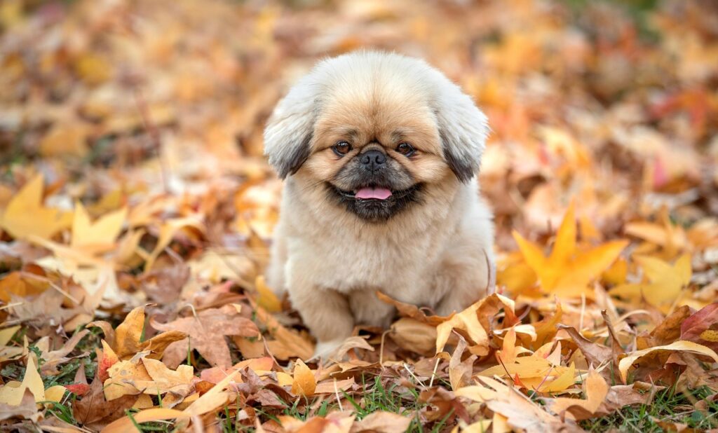 vio脱毛の平均回数はどれくらい必要なの？