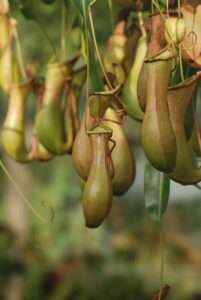 毛嚢炎の脱毛に関する効果的な対策は？