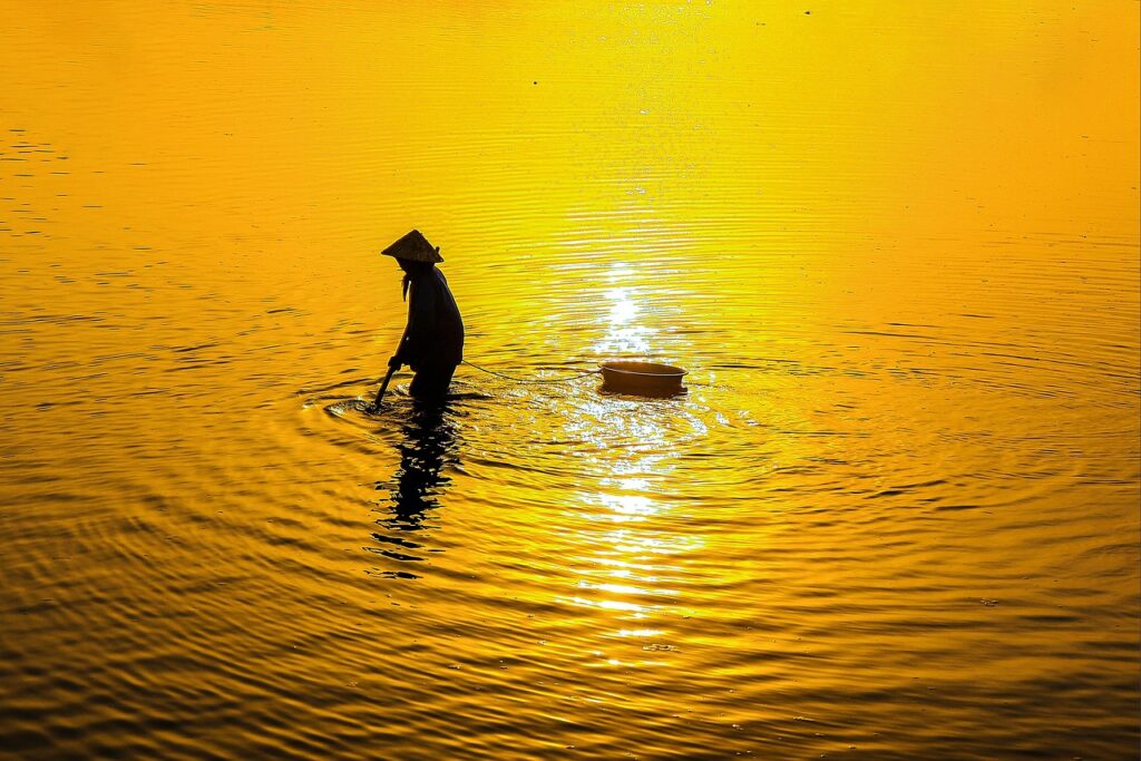 vioはどこがどこまで脱毛できるの？