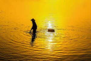 vioはどこがどこまで脱毛できるの？