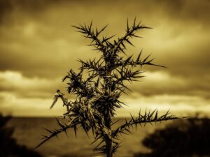 VIO脱毛の施術時に痛みが少ない体勢とは？