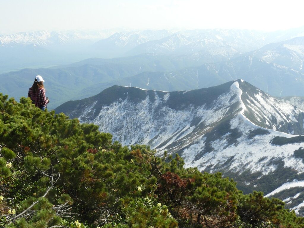 VIO脱毛の痛みが少ない照射範囲の広さについて知りたい？