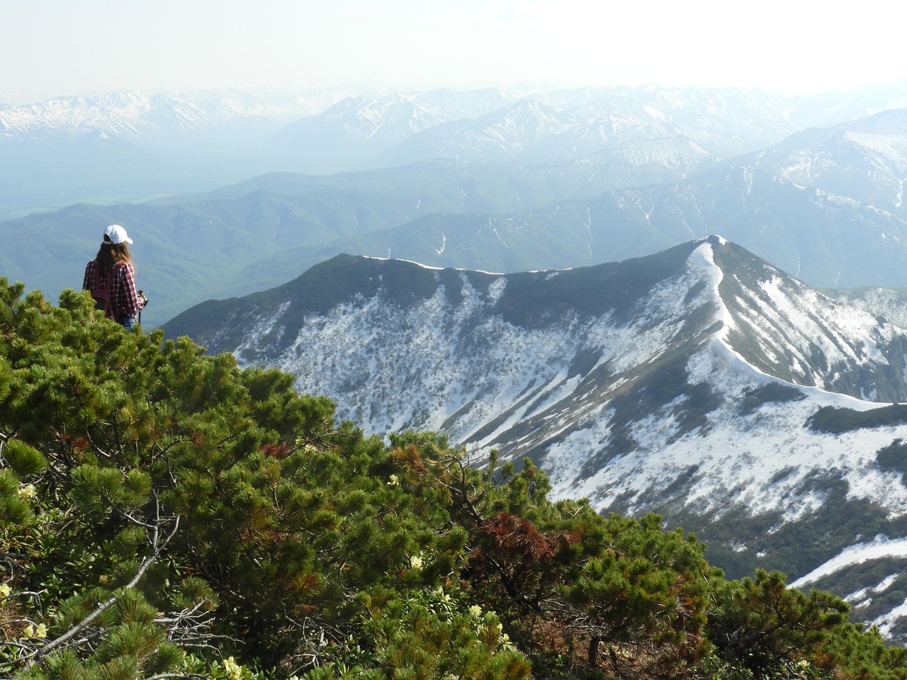 VIO脱毛の痛みが少ない照射範囲の広さについて知りたい？