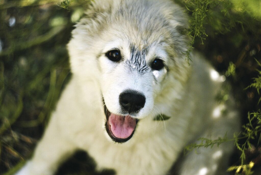 VIO脱毛の痛みや不安を顔と同時にやるべきか？