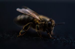 vio脱毛前後の温泉旅行で痛みが少ないベストタイミングは？