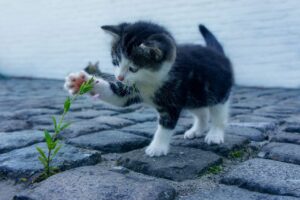 VIO脱毛の口コミで悪い評判は本当？失敗しないために知っておくべきことは？